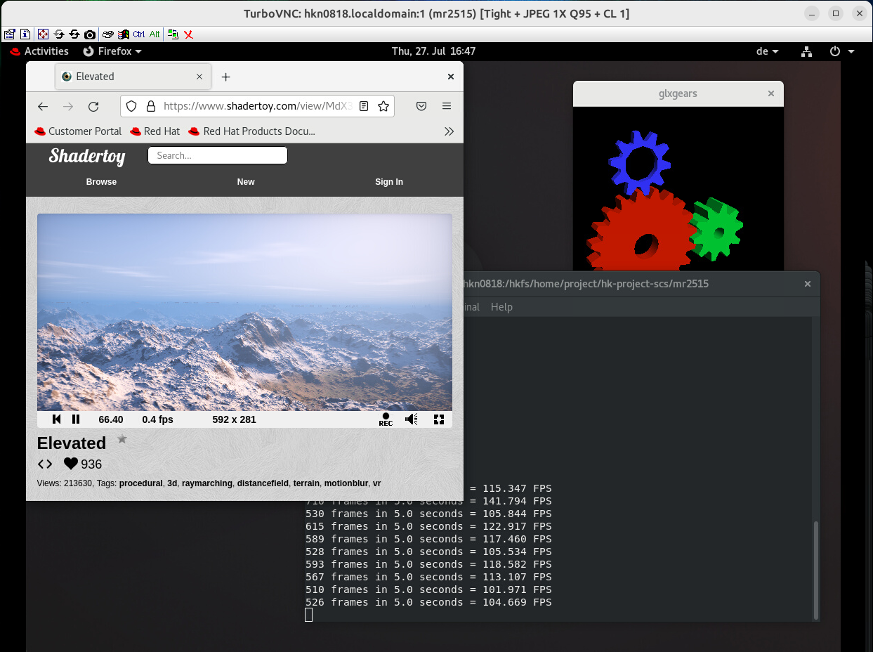 Remote desktop environment with hardware-accelerated applications